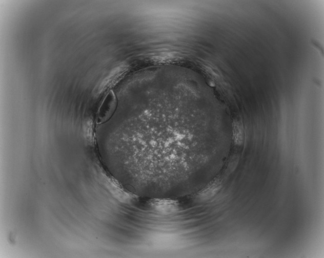 X0000100420670200806131100