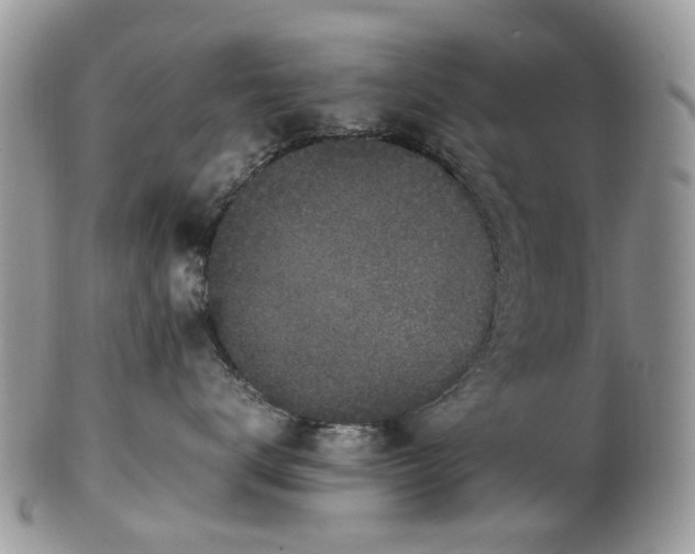 X0000100420672200806131100