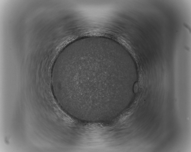 X0000100420673200806131059