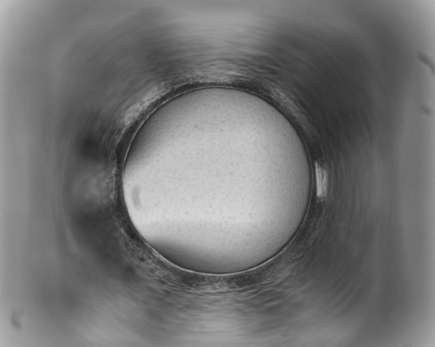 X0000100420675200806131059