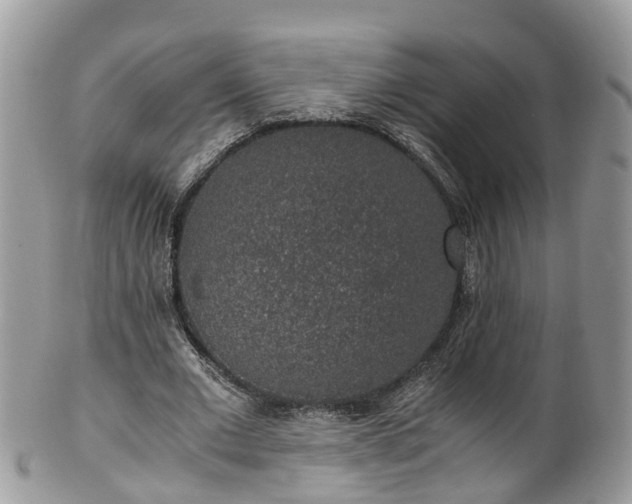 X0000100420677200806131059