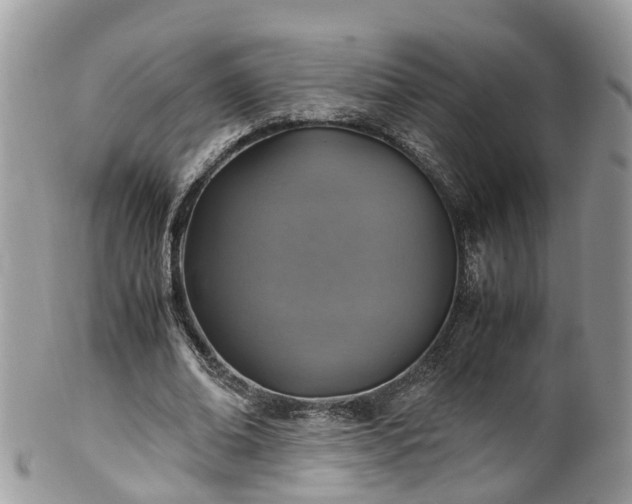 X0000100420678200806131059