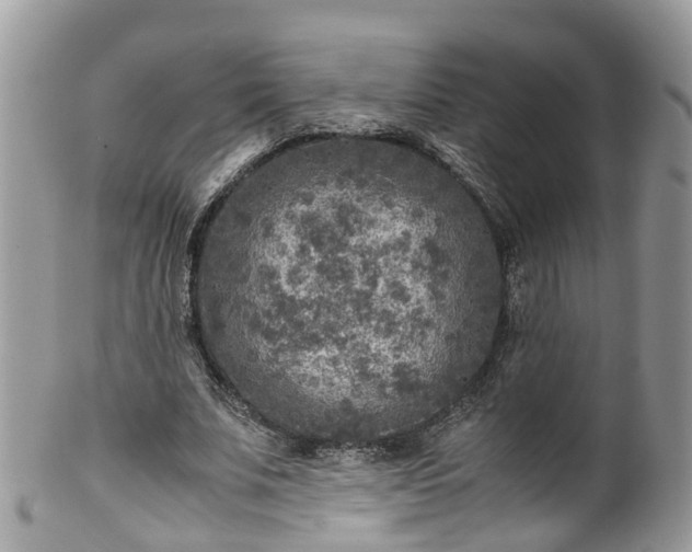 X0000100420679200806131059
