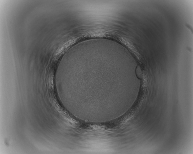 X0000100420681200806131059