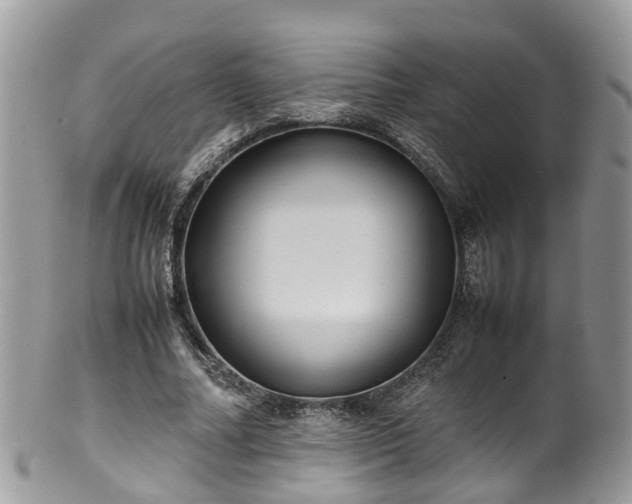 X0000100420682200806131059