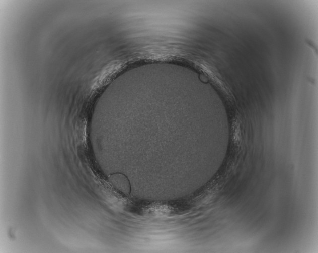 X0000100420685200806131059