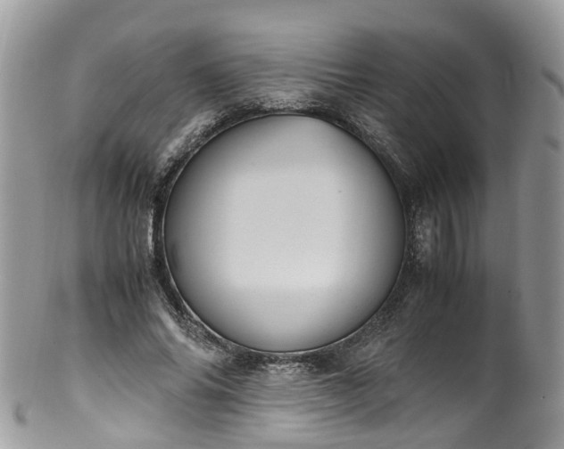 X0000100420686200806131059