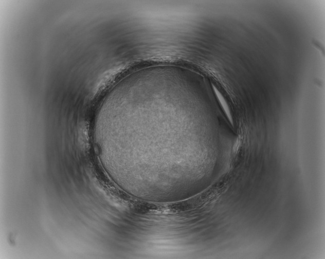 X0000100420688200806131059