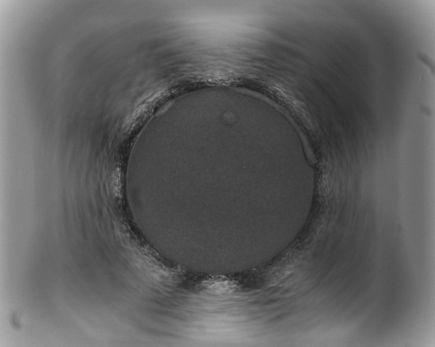 X0000100420689200806131059