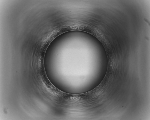 X0000100420690200806131059