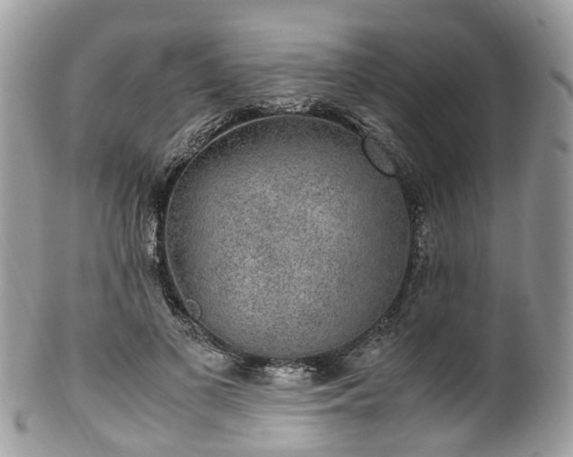 X0000100420693200806131059