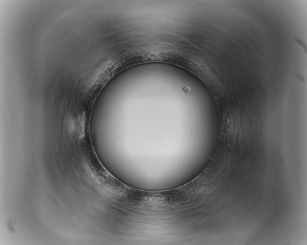 X0000100420694200806131059
