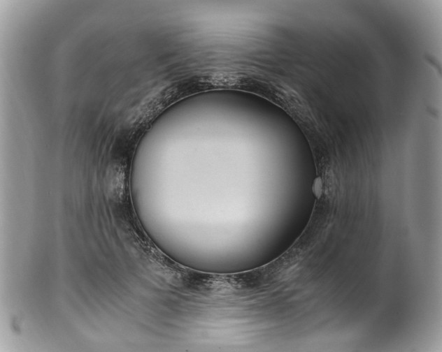X0000100420697200806131059