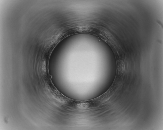 X0000100420700200806131059