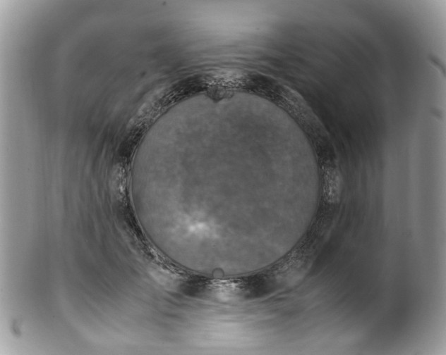 X0000100420701200806131059