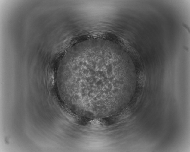 X0000100420703200806131059
