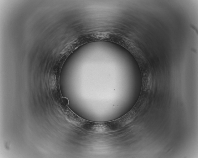 X0000100420704200806131059