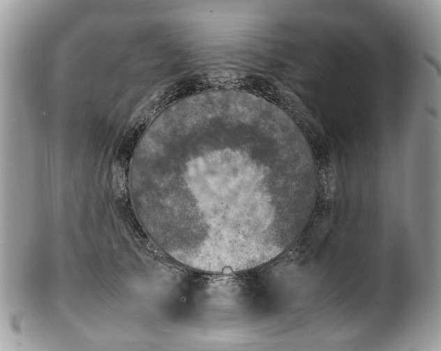 X0000100420705200806131059