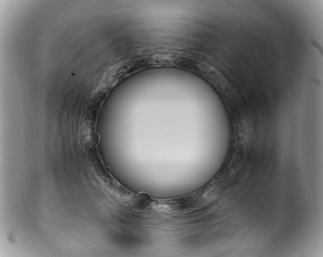 X0000100420706200806131059