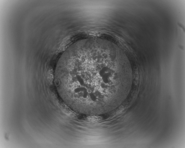 X0000100420707200806131059