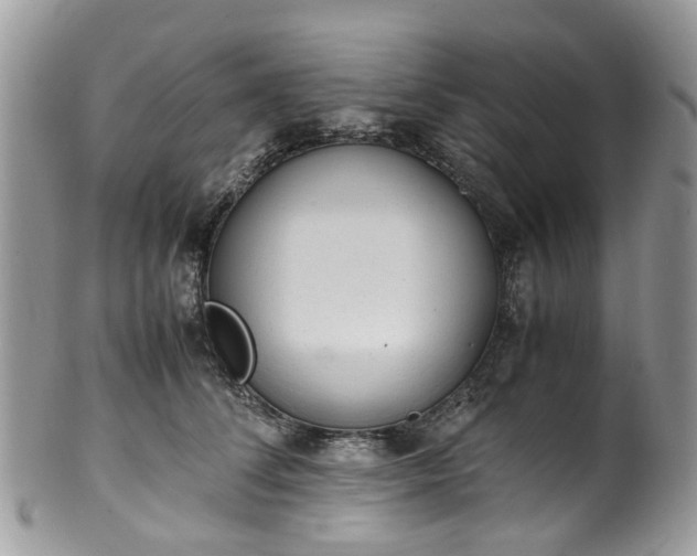 X0000100420708200806131059