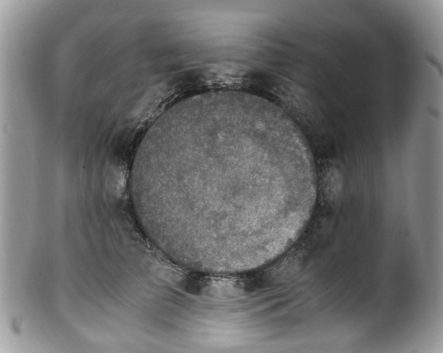 X0000100420709200806131059