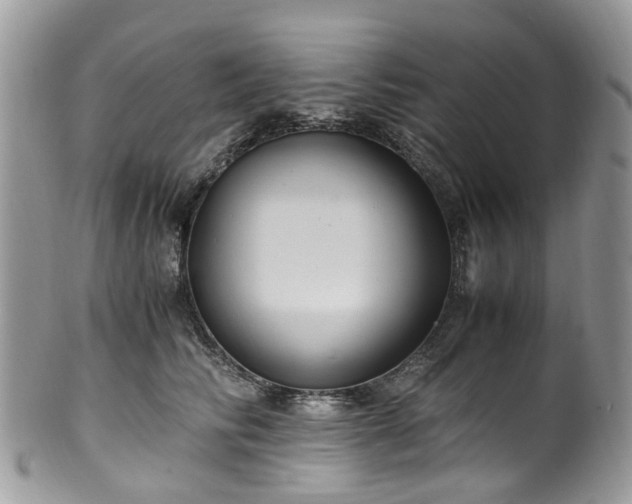X0000100420710200806131059