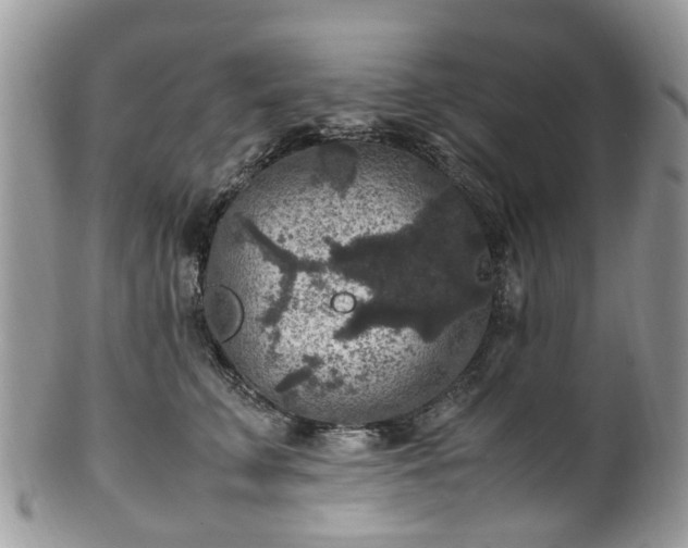 X0000100420711200806131059