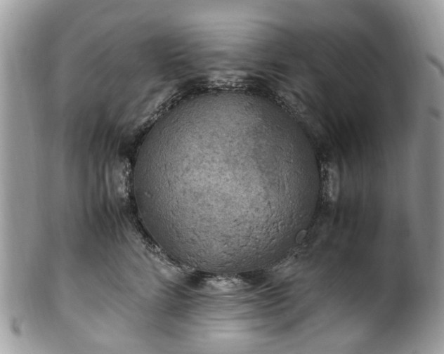 X0000100420712200806131059