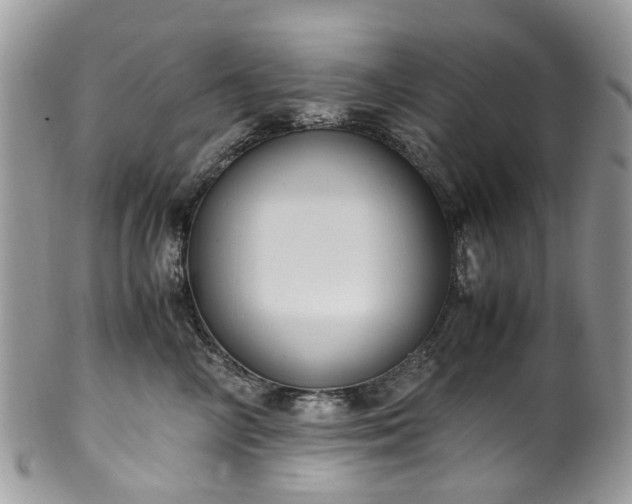 X0000100420714200806131059