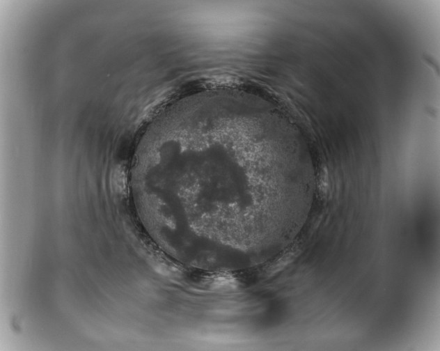 X0000100420715200806131059