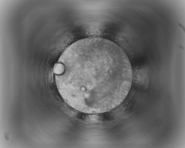 X0000100420717200806131059