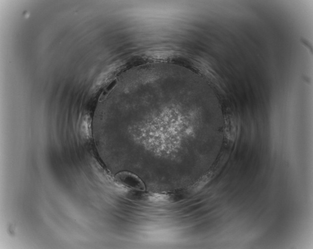 X0000100420718200806131059