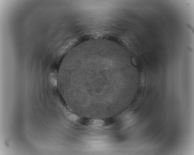 X0000100420719200806131059