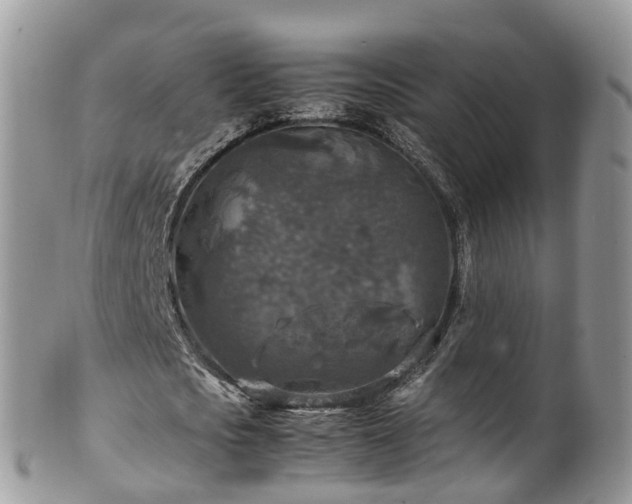 X0000100420721200806131058