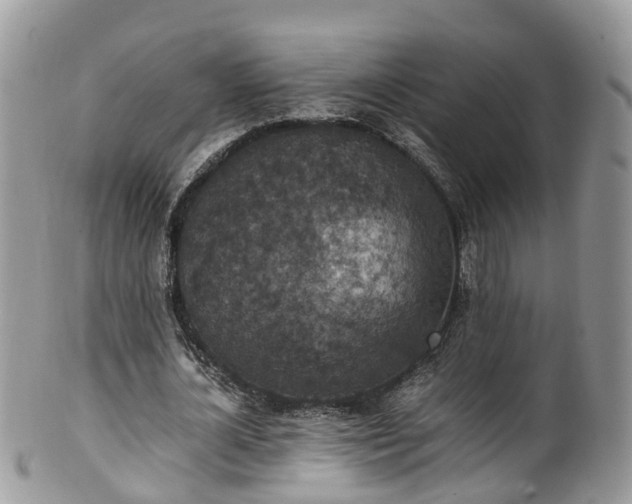 X0000100420724200806131058