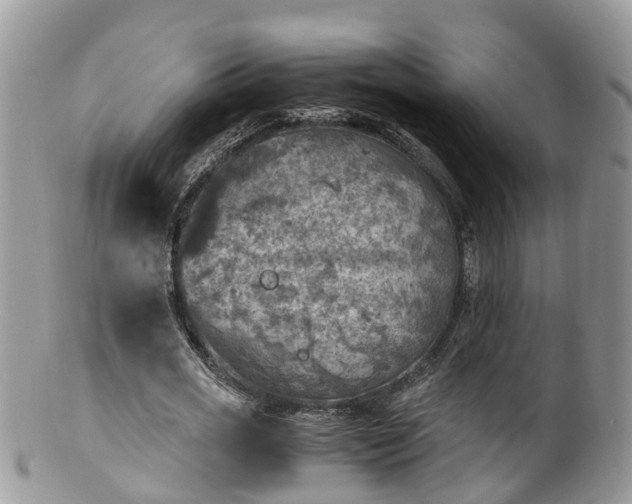 X0000100420725200806131058
