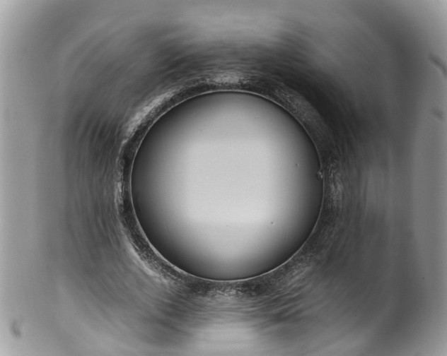 X0000100420728200806131058