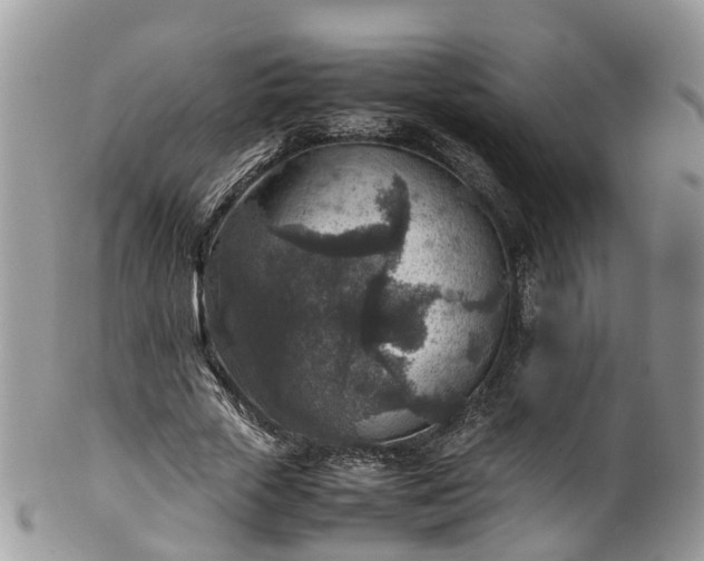 X0000100420729200806131058
