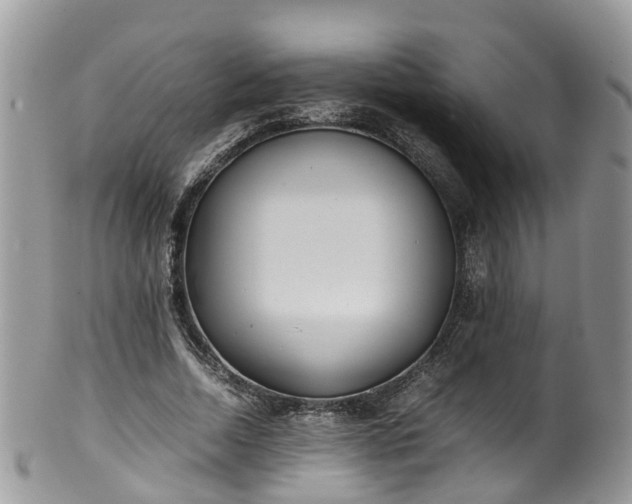 X0000100420730200806131058