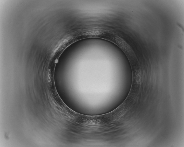 X0000100420731200806131058