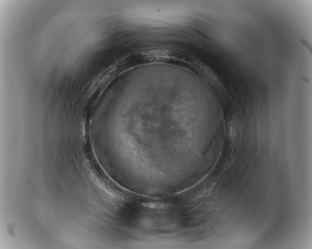 X0000100420733200806131058