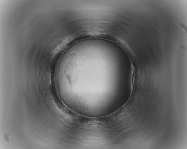 X0000100420734200806131058