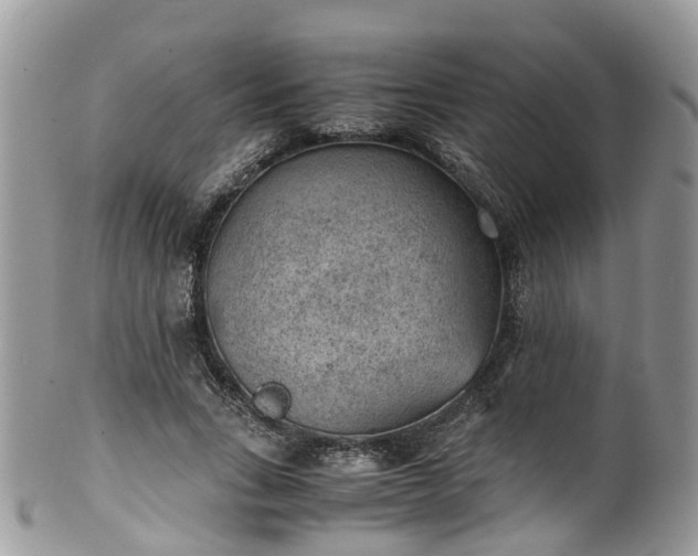 X0000100420735200806131058