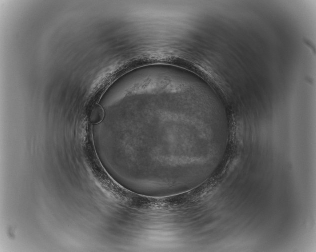 X0000100420736200806131058