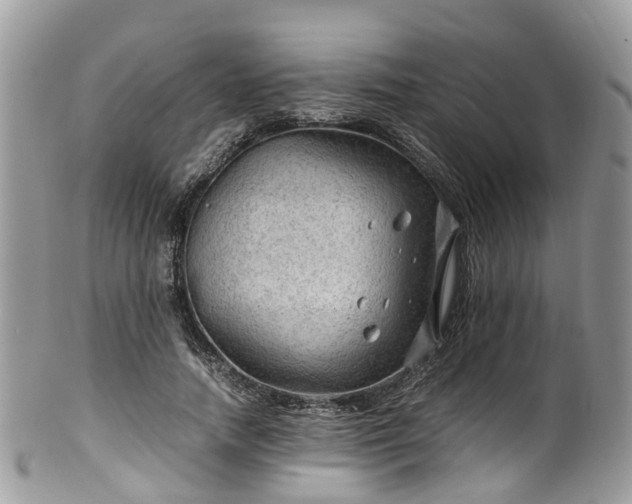 X0000100420738200806131058