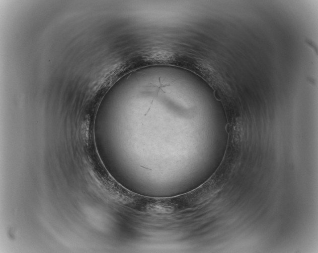 X0000100420739200806131058