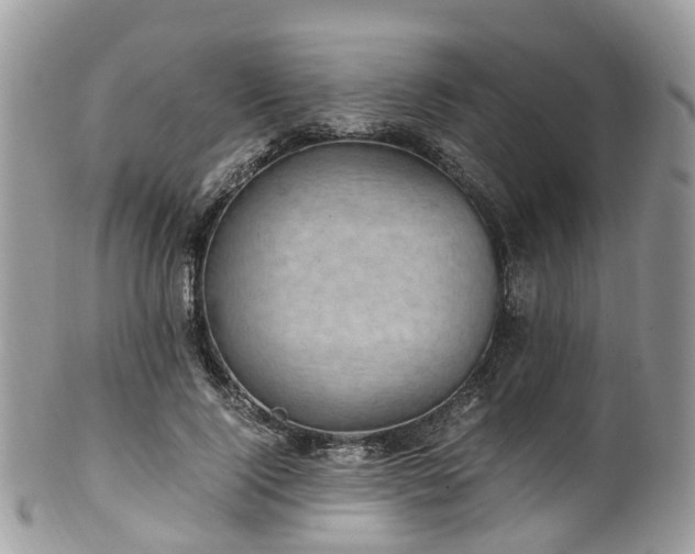 X0000100420740200806131058