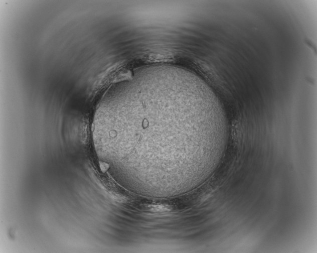 X0000100420741200806131058