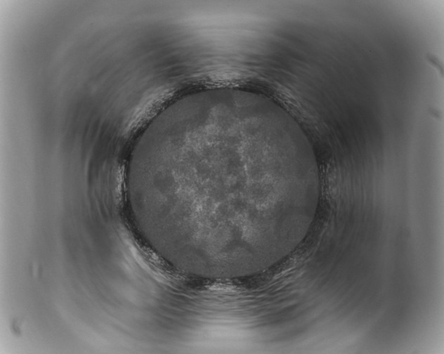 X0000100420742200806131058